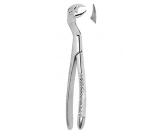 Extracting Forceps English pattern